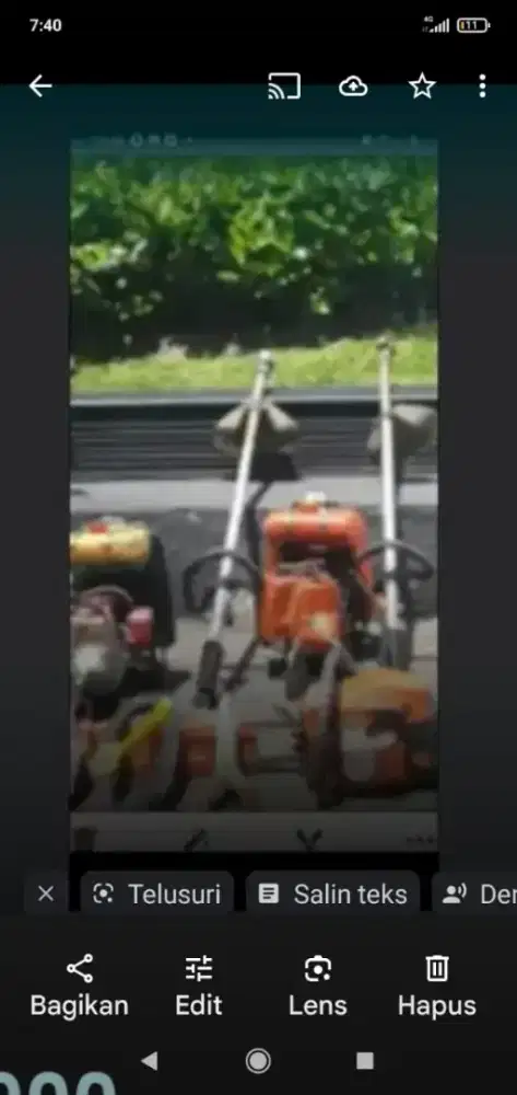 Jasa potong rumput dan tebang pohon