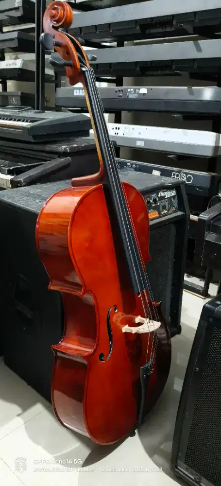 Cello KARL STEINHOFF 4/4 type
