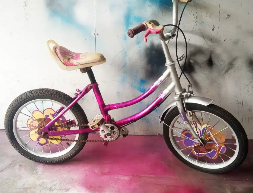 Sepeda 16in anak perempuan