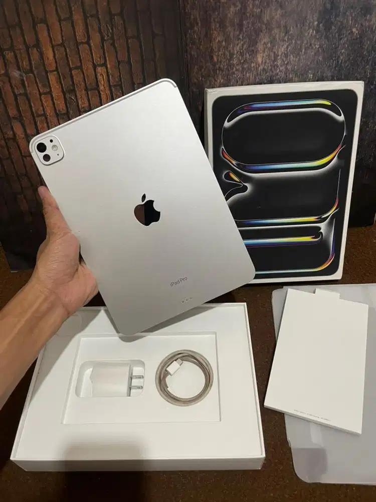 Ipad Pro M4 11 inch 256 Like Garansi On