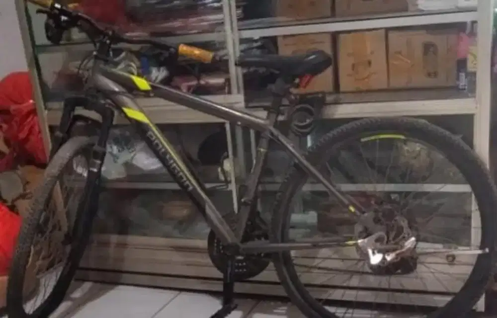 Sepeda Polygon Manorach 3