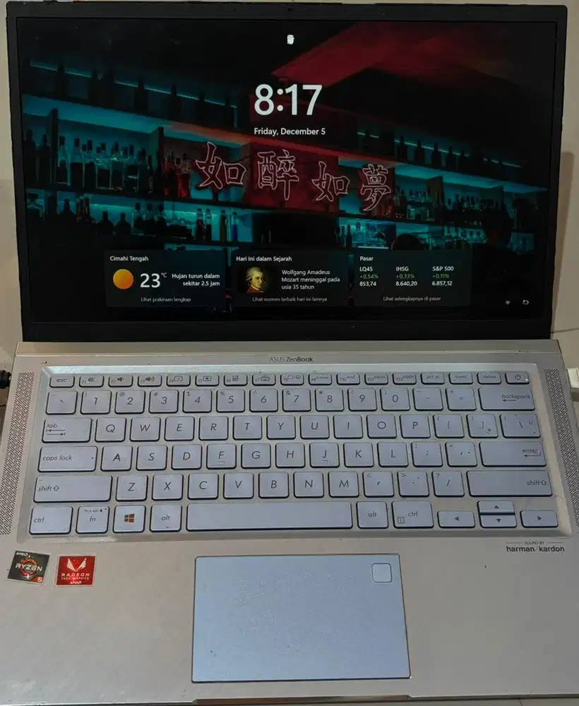 Asus Zenbook UM431D Ryzen 5