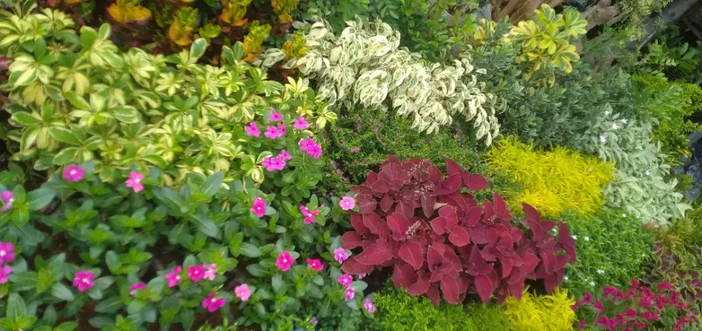 Cari kerja event nataru