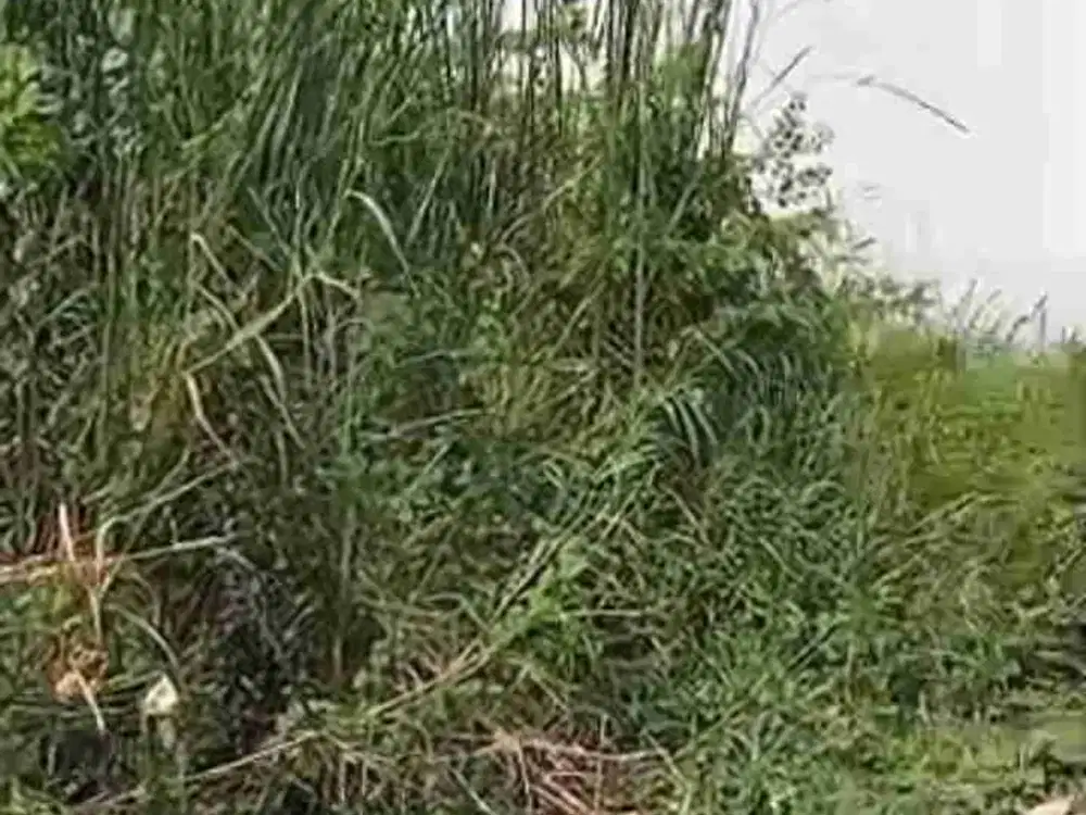 ‼️JUAL CEPAT‼️TANAH SIAP BANGUN DI PONDOK BENOWO INDAH PAKAL SBY BARAT