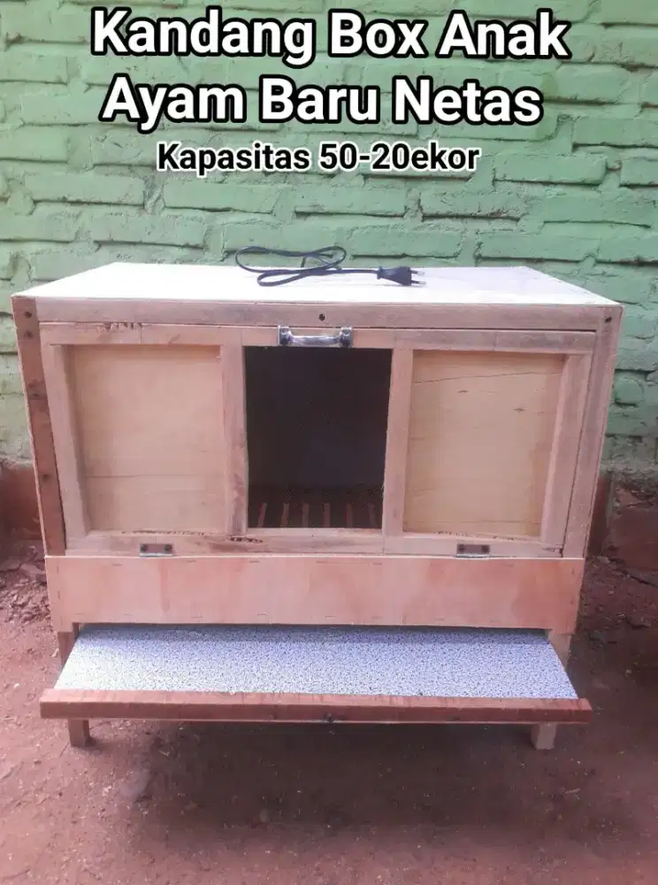 Kandang box penghangat Doc anak ayam