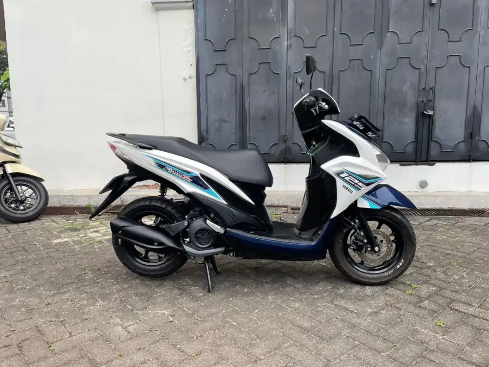 Freego 2025 Pajak Panjang