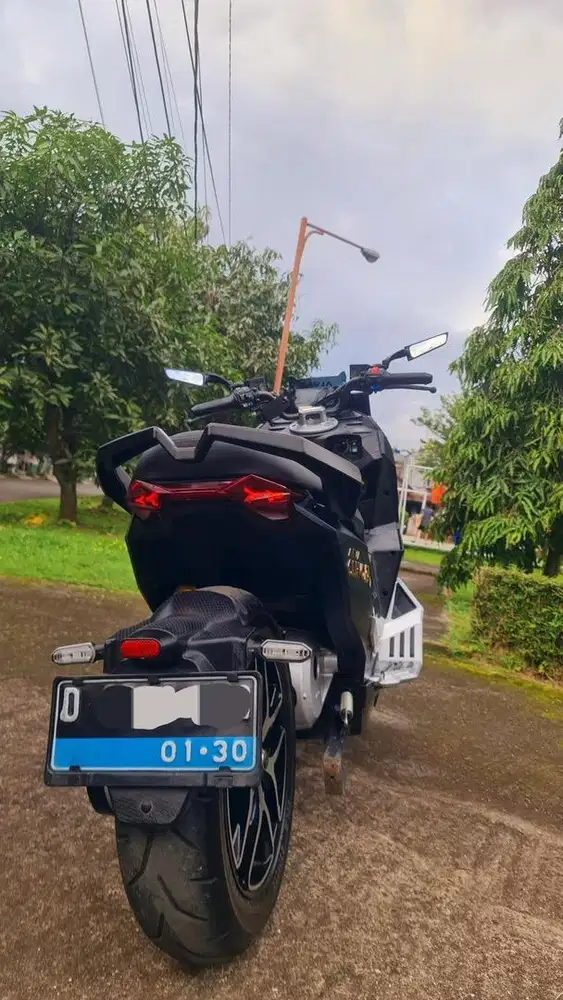 For Sale ALVA CERVO Q