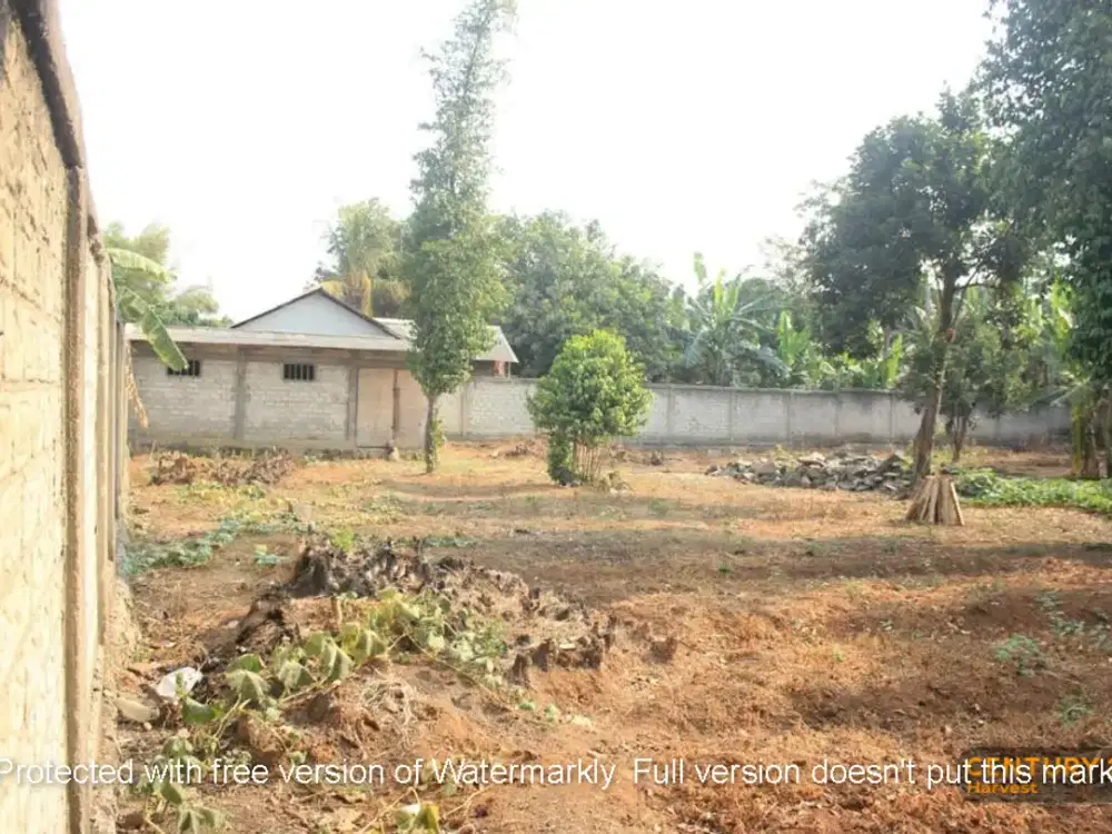 Dijual Cepat Sebidang Tanah Di Desa Purwasari Cikampek