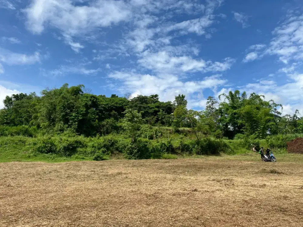 SHM Hunian Pinggir Jalan Kawasan Berkembang