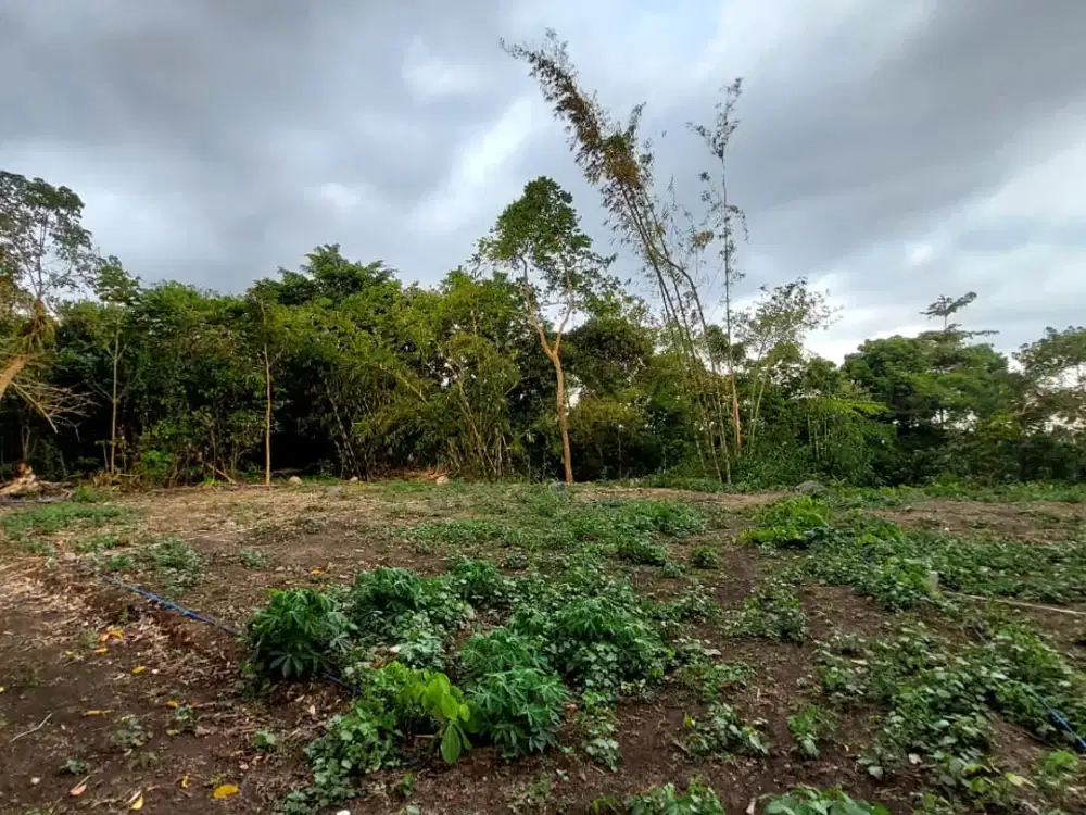 Kavling Strategis di Kawasan Potensial—Pilihan Tepat untuk Masa Depan