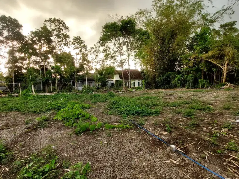 Investasi Masa Depan, Tanah Kavling Murah mulai 1,9 Jt-an/m2