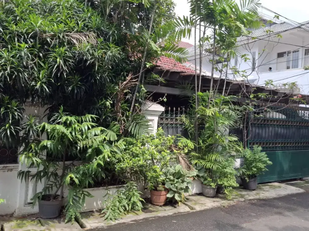 Rumah Mewah Siap Huni di Jl. Tebet Timur Dalam - Jalan Lebar, Lokasi Premium, Harga Nego