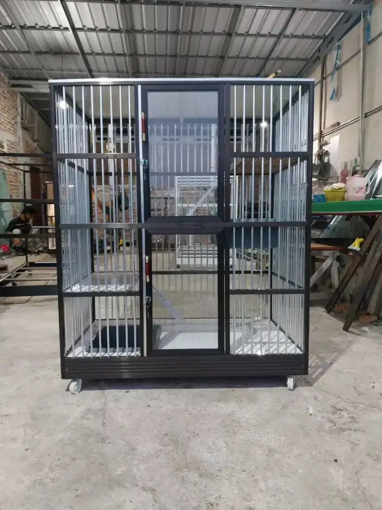 Ready kandang kucing