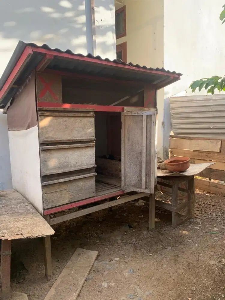 Kandang ayam besar