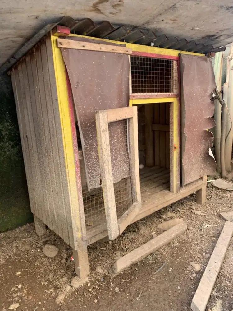 Jual kandang ayam murah saja