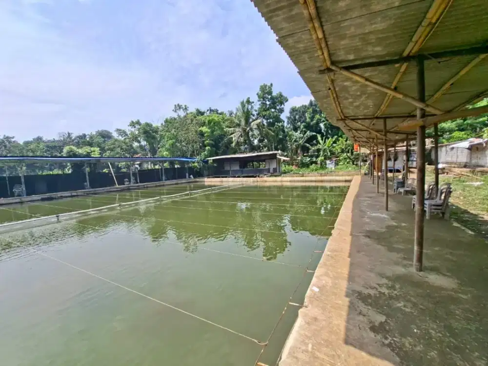 DI JUAL CEPAT TANAH PEMANCINGAN  IKAN MAS RUMAH SAUNG EMPANG KOLAM