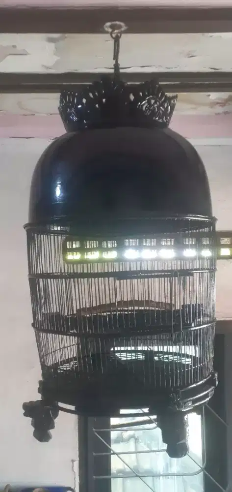 Sangkar perkutut bagus