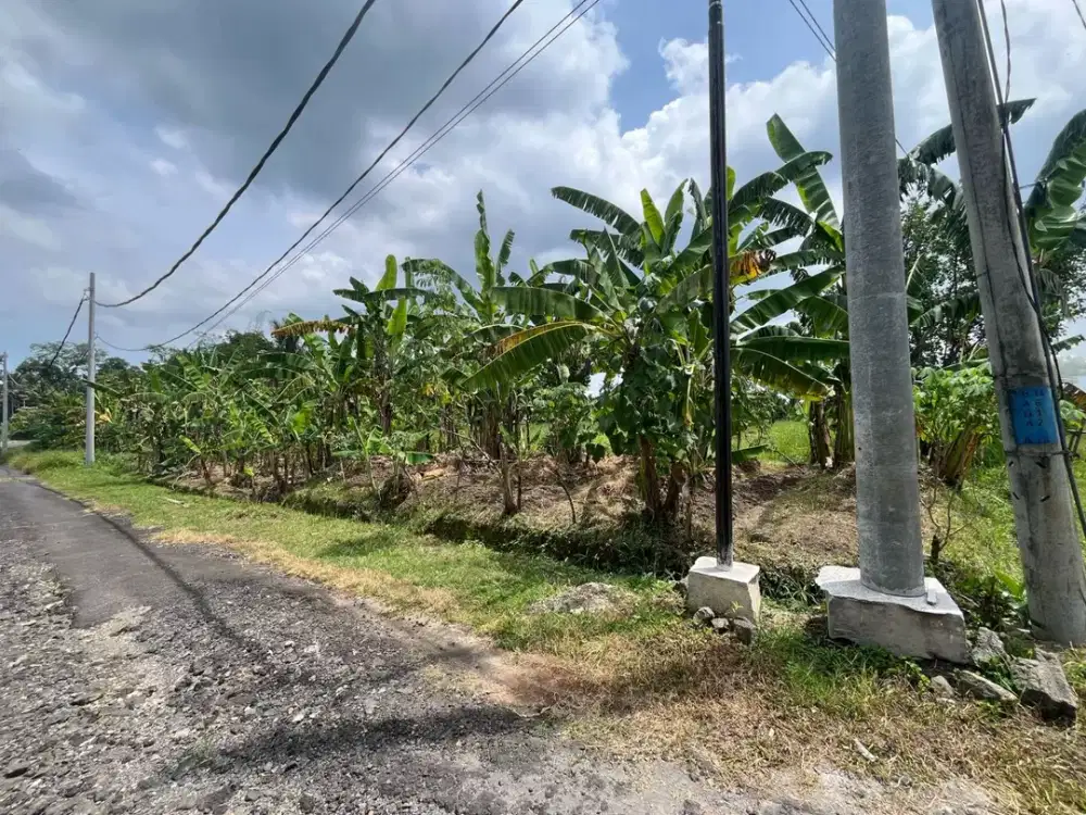 Dijual Tanah lingkungan tenang aman dan nyaman View Sawah dekat dengan kota Tabanan