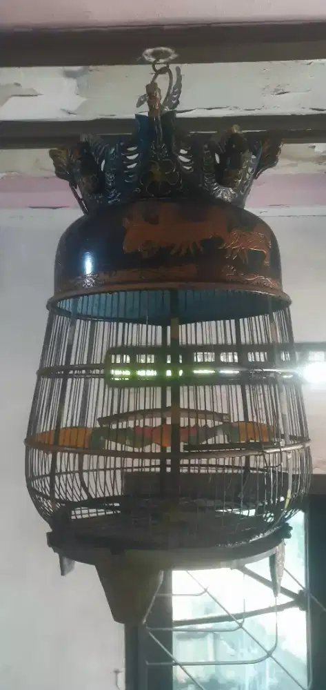 Sangkar perkutut bagus