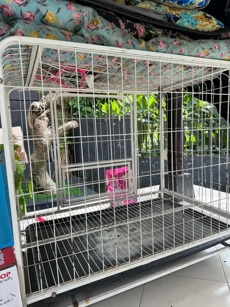 Kandang anjing besar