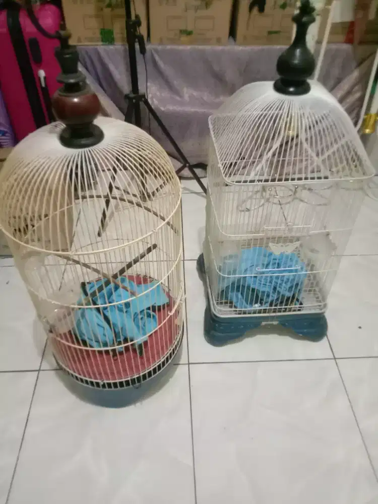 Jual kandang burung borongan 200,000