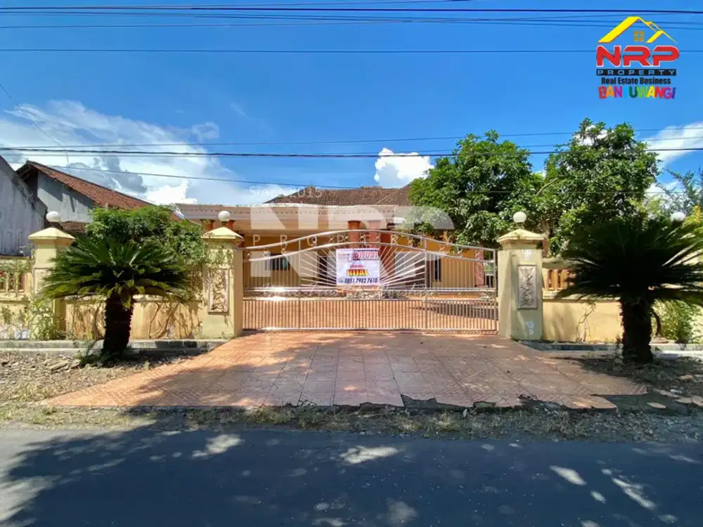 DIJUAL RUMAH SULTAN + KEBUN LUAS di Sraten, Cluring — Banyuwangi