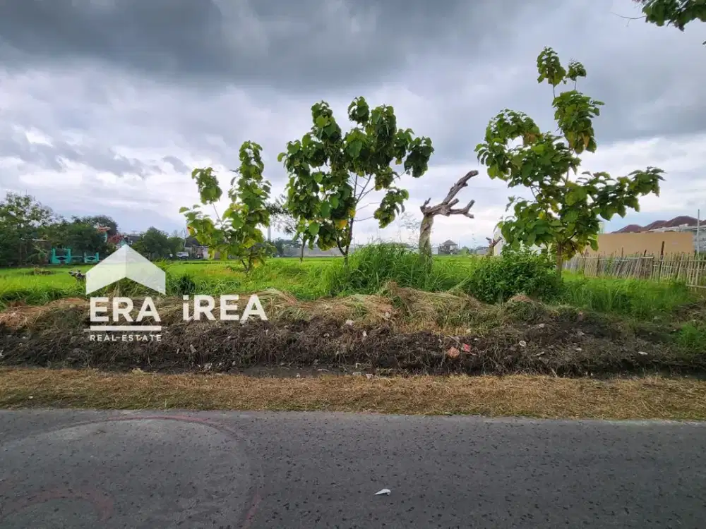 DIJUAL TANAH DI SOLO PABELAN DEKAT UMS DAN HYPERMARKET ASSALAM