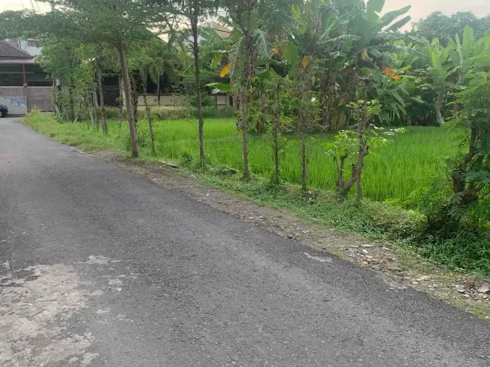 Tanah Premium di Kota Lombok