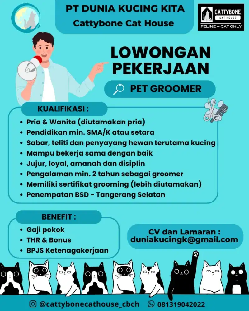 Lowongan Kerja Pet Helper-Groomer-Paramedis