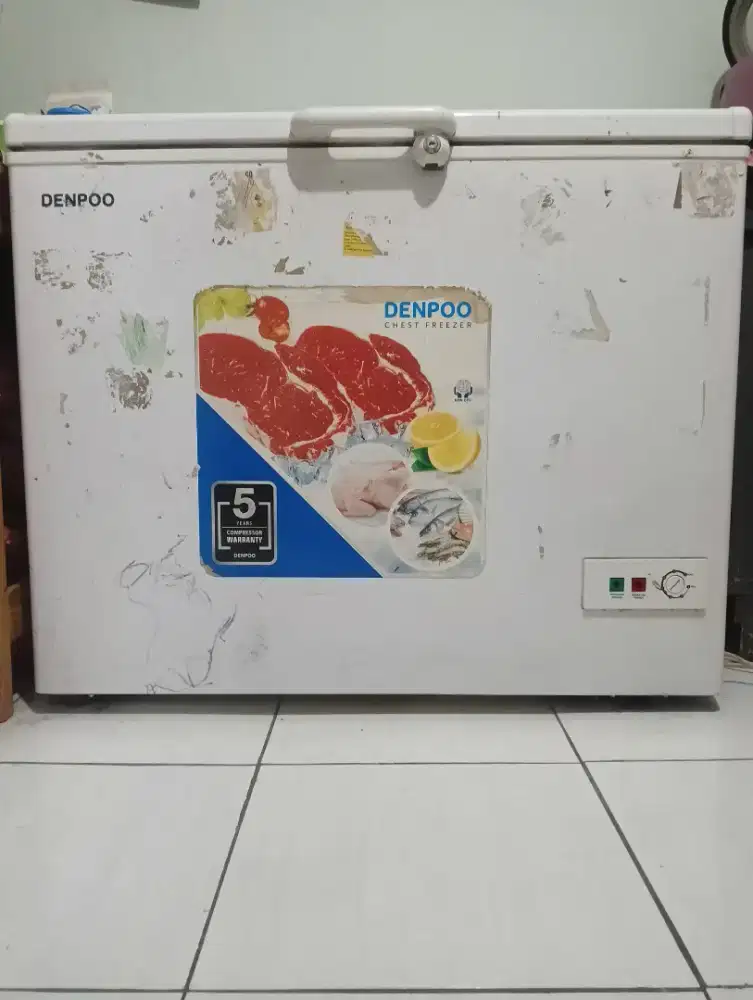 Freezer Denpo 300liter