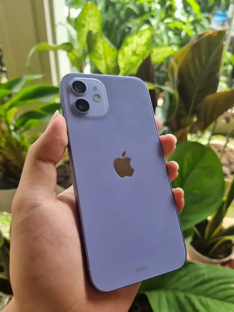 iPhone 12 128GB iBox Fullset Resmi