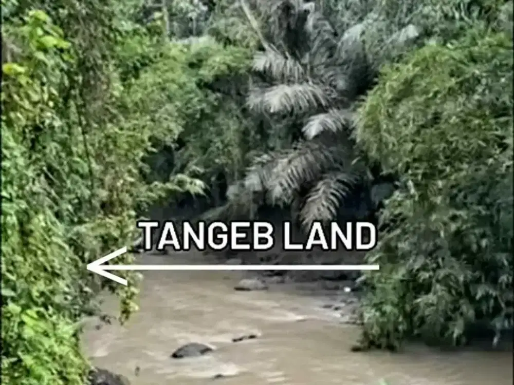 Land for sale in Tumbak Bayuh, Bali