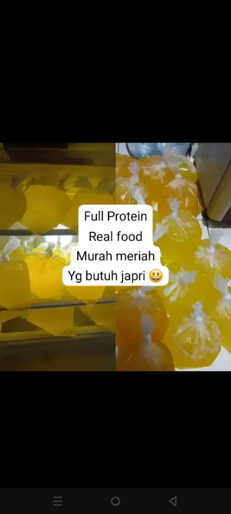 Putih telur ready fresh n murni tanpa campuran air