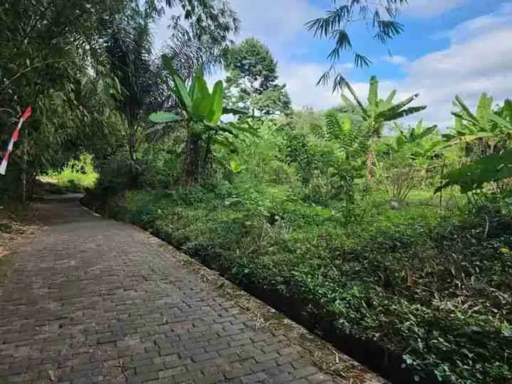 DIJUAL TANAH DI TEMPURAN AREA PEMUKIMAN BAGUS UNTUK PERUMAHAN SUBSUDI