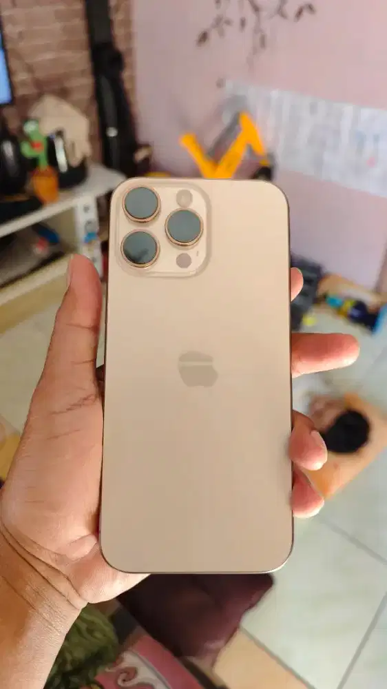 Iphone 16 pro max promax