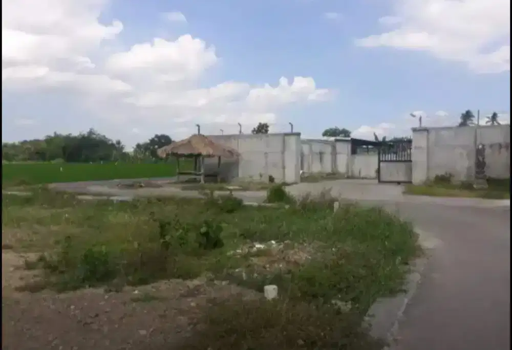 Tanah Kavling Lokasi Strategis Kota Mataram