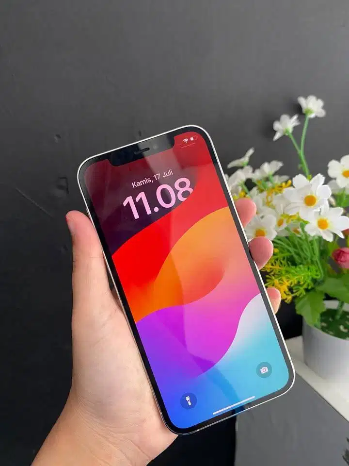 iPhone 12 Pro 256GB Terawat Ex Inter Bea Cukai