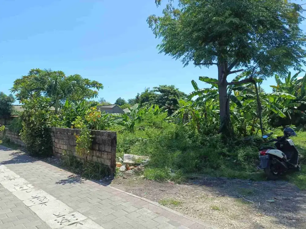 Tabah premium 2800m2 dkt pantai tanjung benoa nusa2 idr 5,5jt/m2