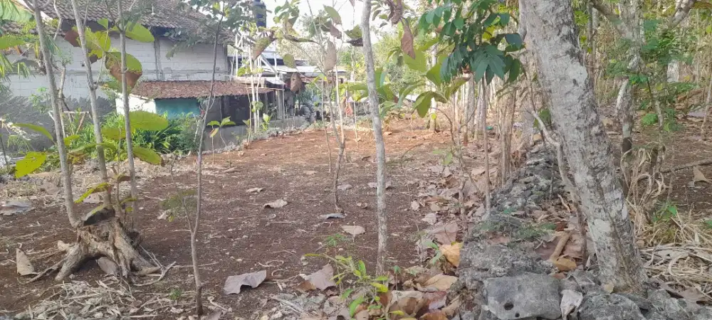 Jual Tanah Murah 1.765 m² – Cocok Investasi & Kebun