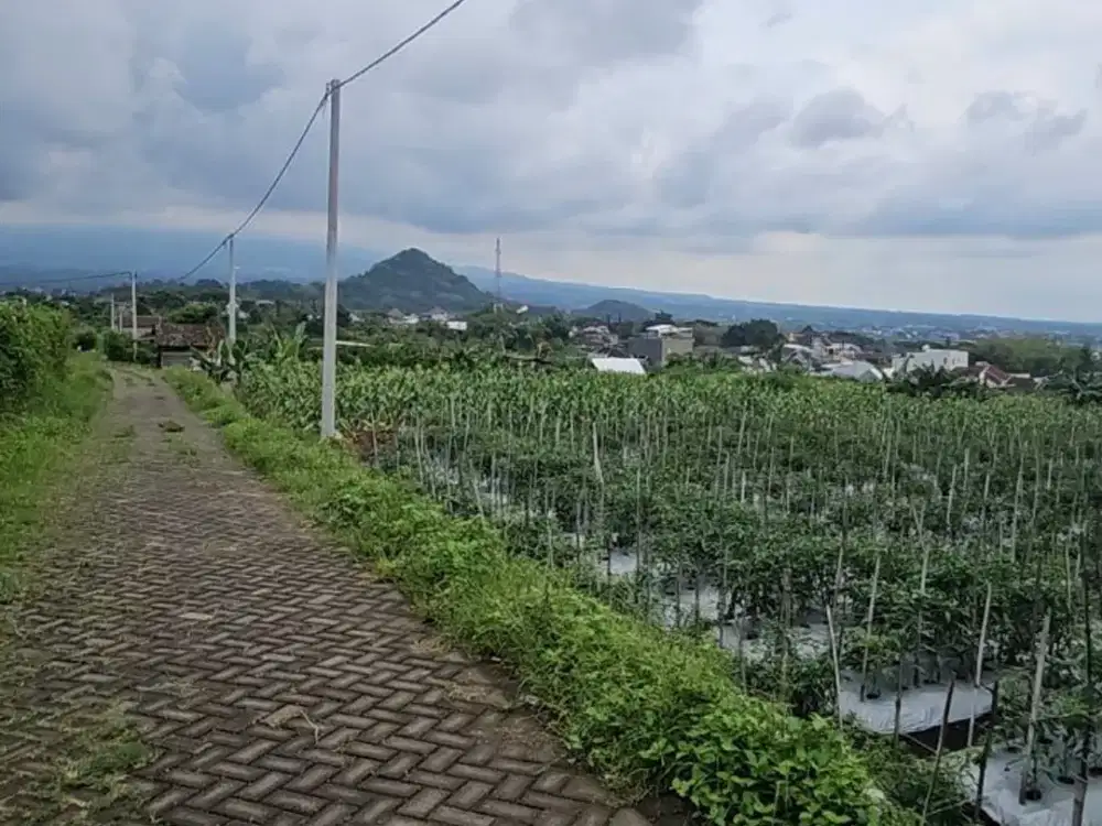 Tanah Kebun Vila Dijual Cepat Belakang Polres Batu