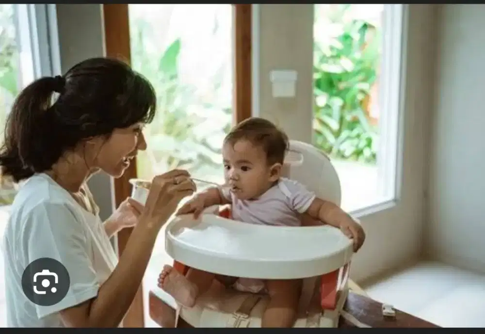 Dibutuhkan babysitter