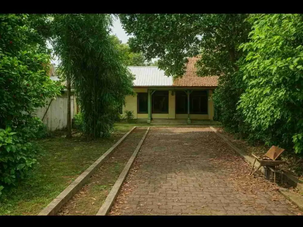 Di sewakan rumah idum ASRI di Serengan Solo bisa 3 mobil