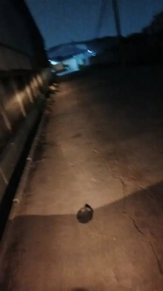 Mencari Pekerjaan - Pengalaman Admin Online Shop