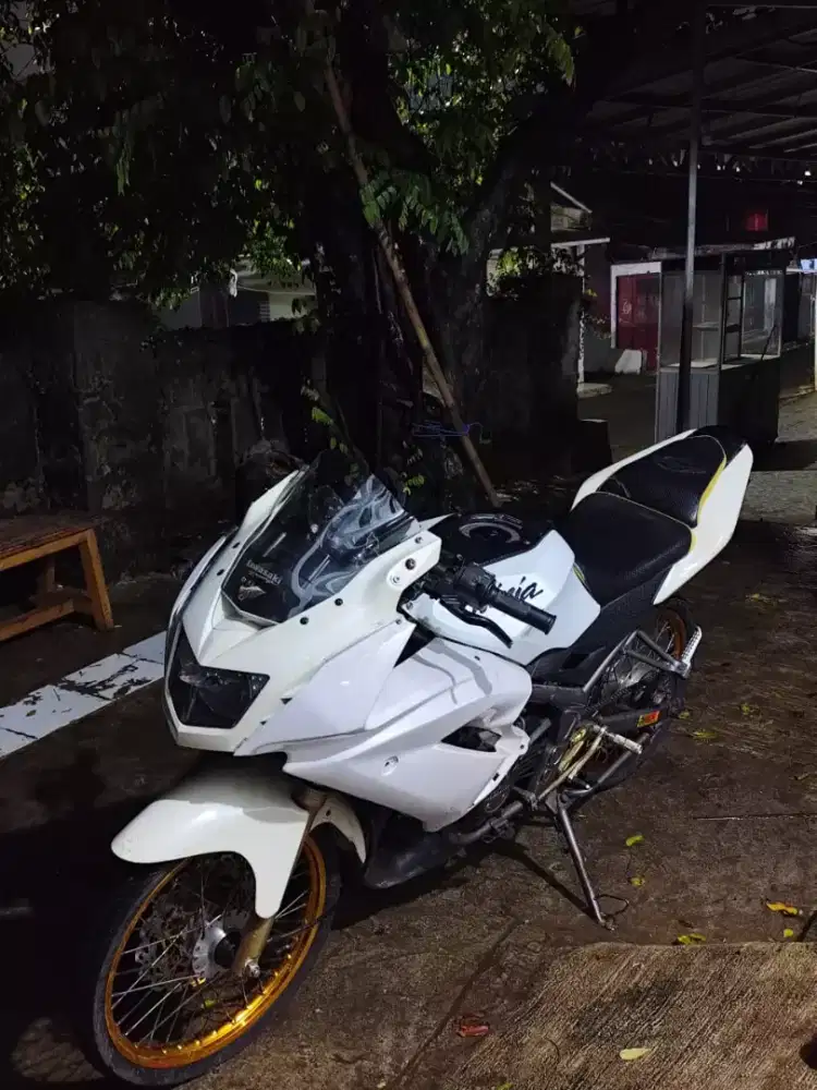 Kawasaki ninja rr 2013