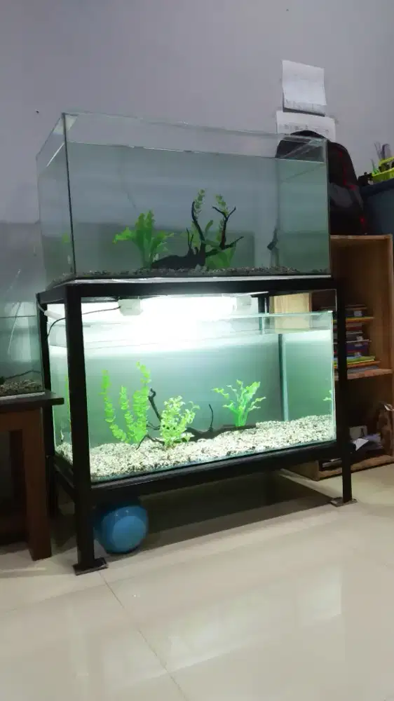 Set aquarium kaca dan rak komplit dengan batu dan tanaman artificial.