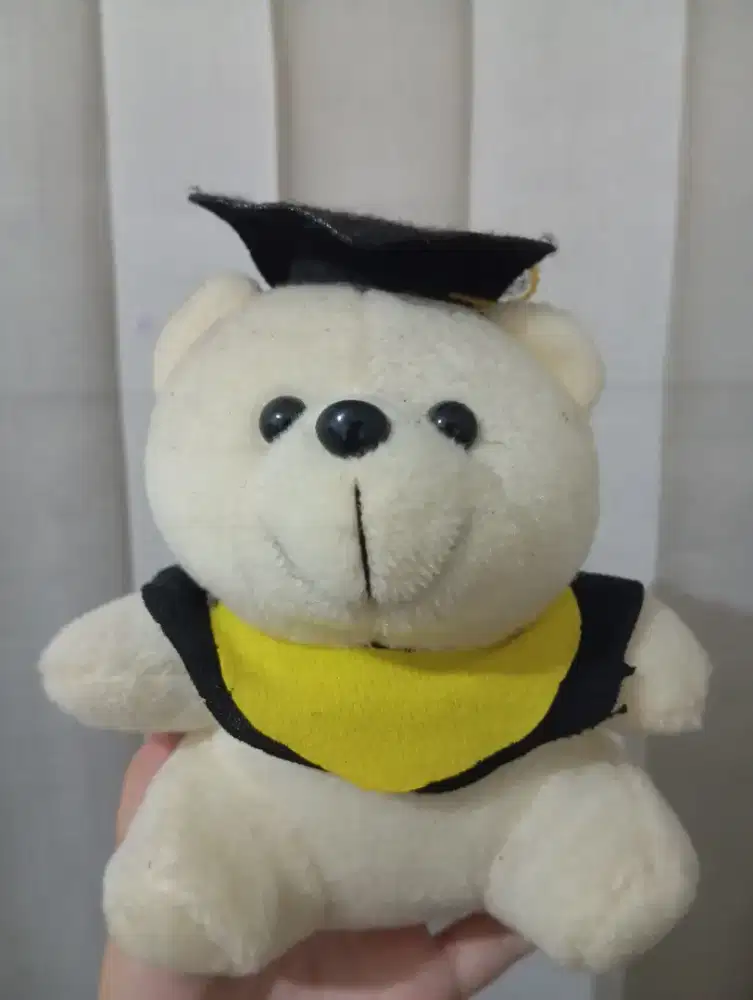 boneka graduation