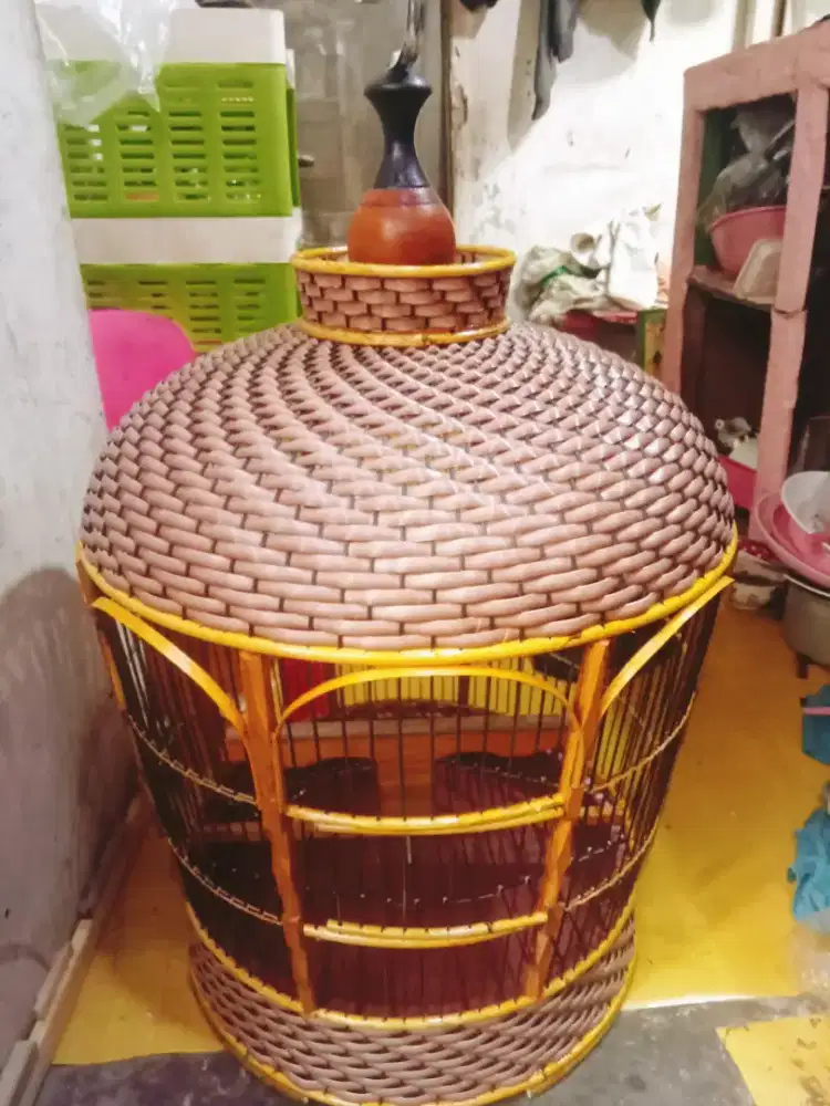 Sangkar perkutut baru tebok lepas