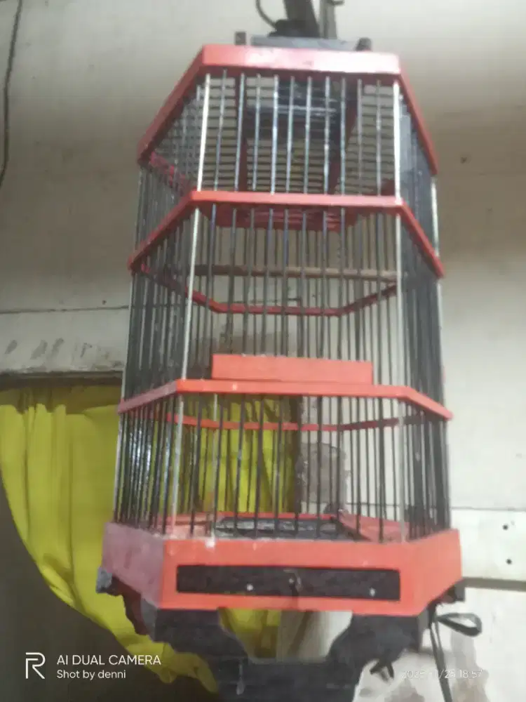 kandang burung kecil