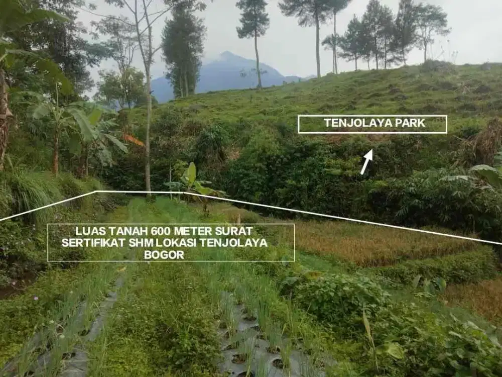 TANAH MURAH DI AREA WISATA PARK TENJOLAYA BOGOR