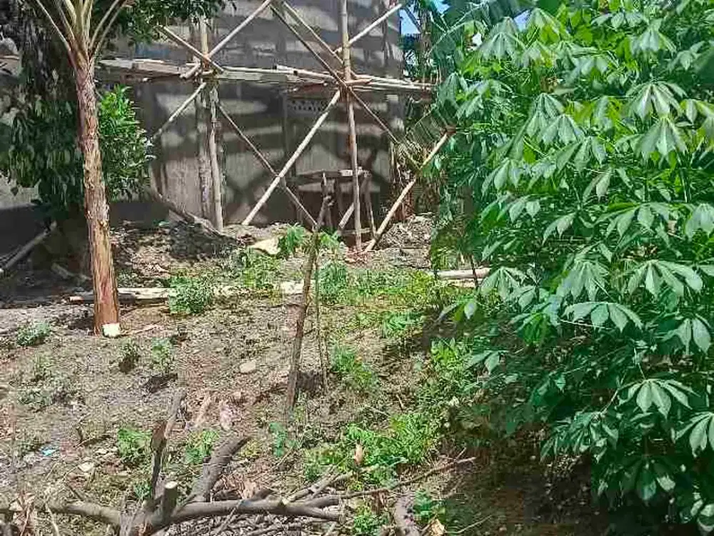 tanah di jual blk uns hrg 650,000,000